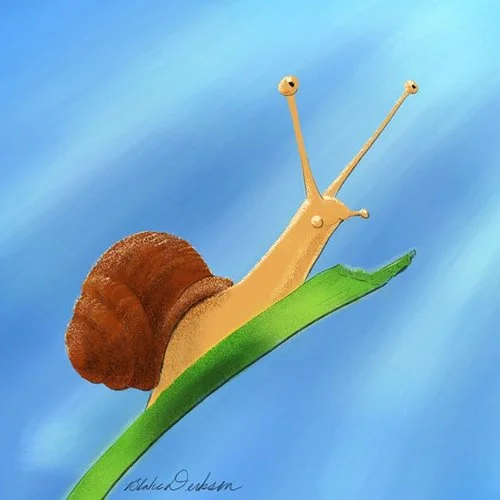 snail.jpg