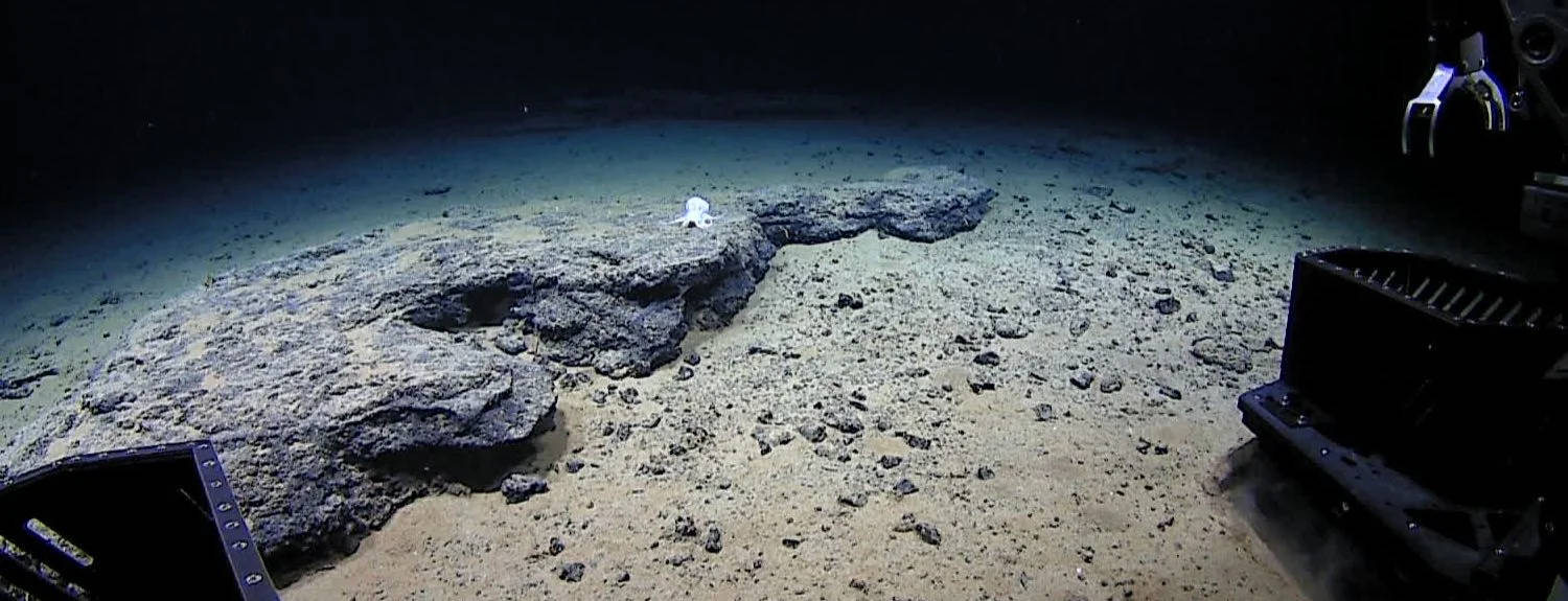 Mystery Ship, Director: Eric Marrardi, Triotech The National Oceanographic and Atmospheric Administration NOAA
