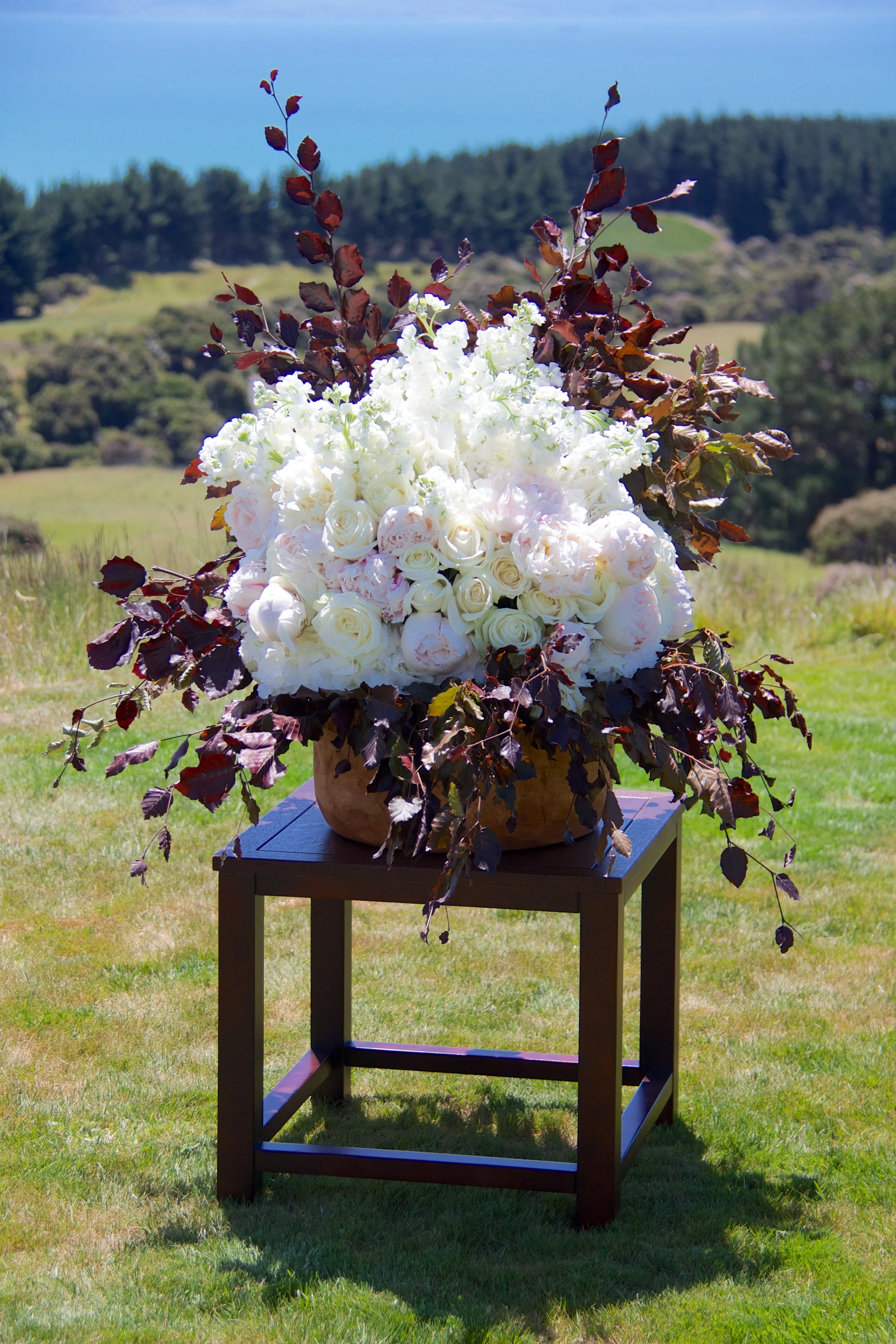 2012 CAPE KID 23.jpg