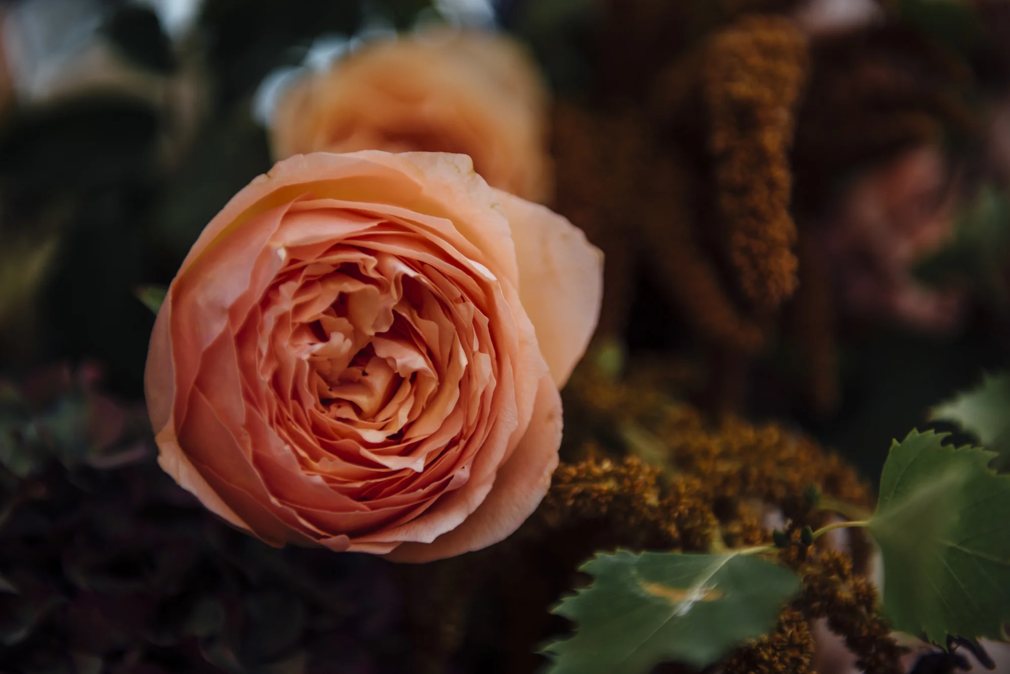 Kelly _ Chris_004.jpg