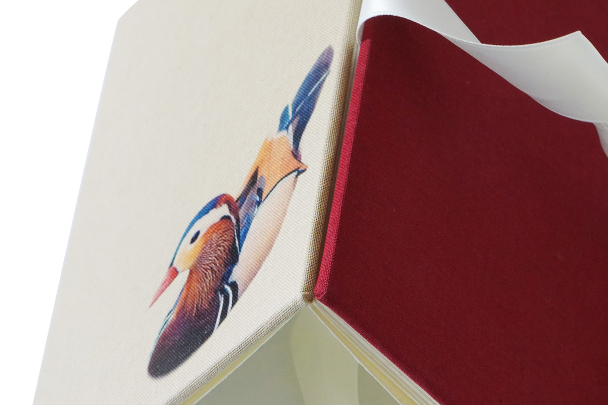 Leporello_Duck_Detail3.jpg