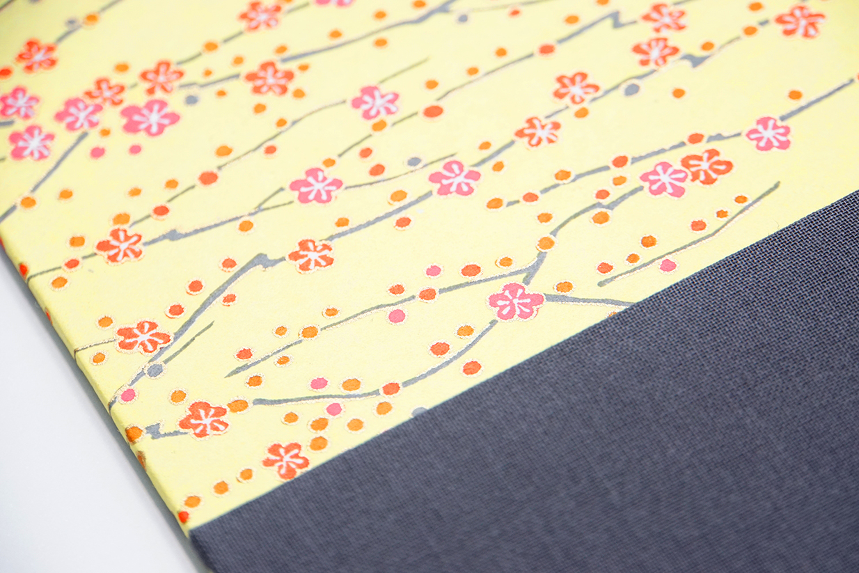 Japanese Leporello Album