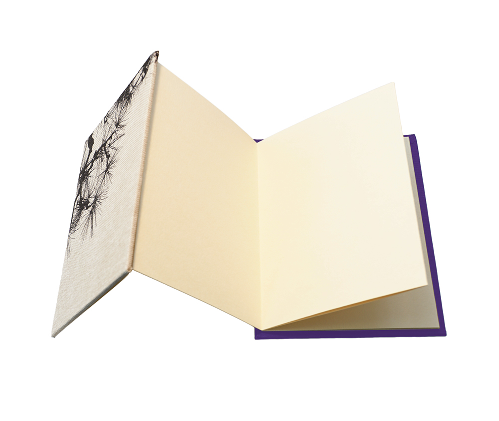 handmade concertina photo album