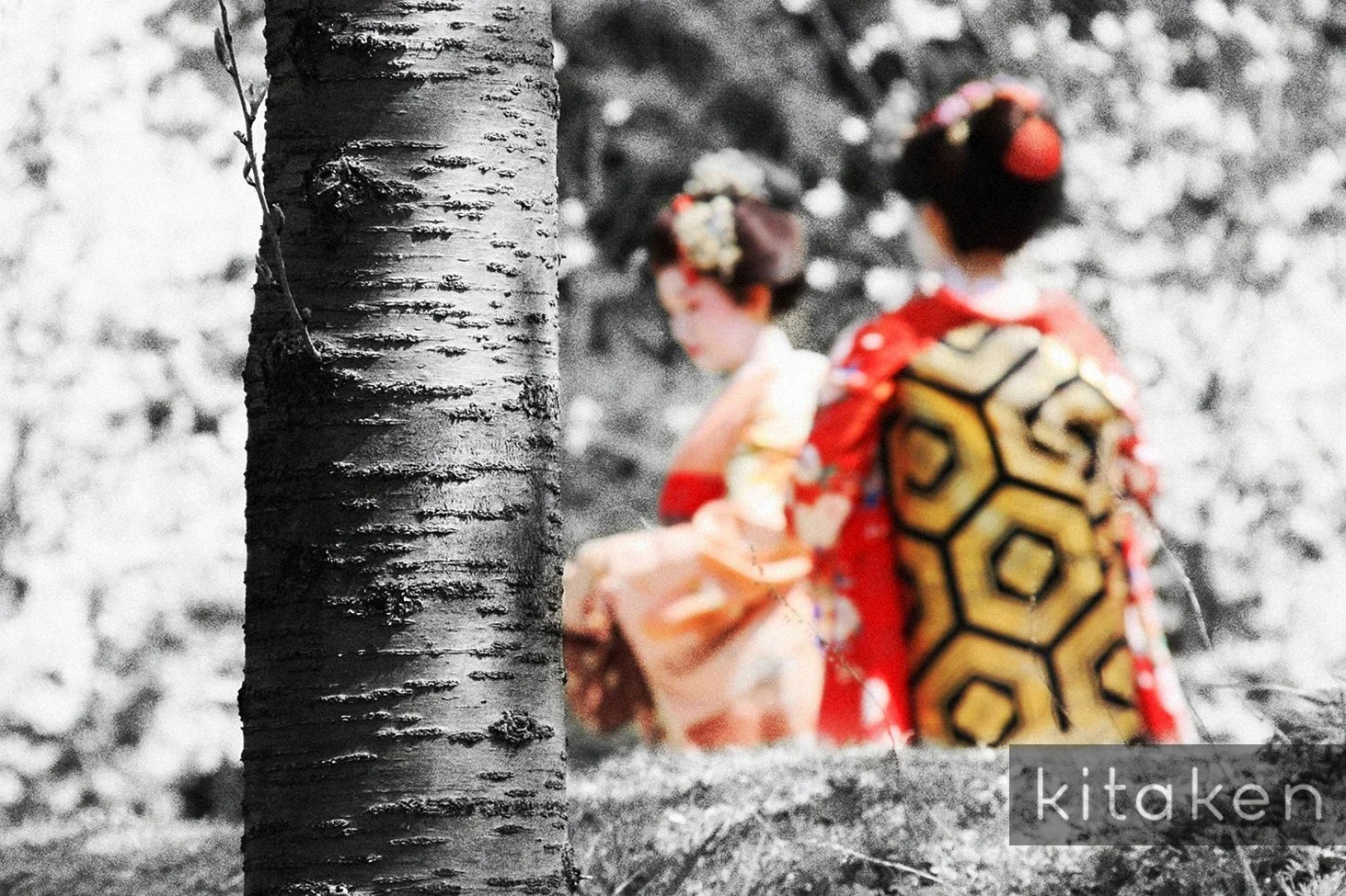 Kimono Geisha Kitaken Photo Print.jpg