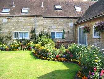 Flowers in the courtyard
