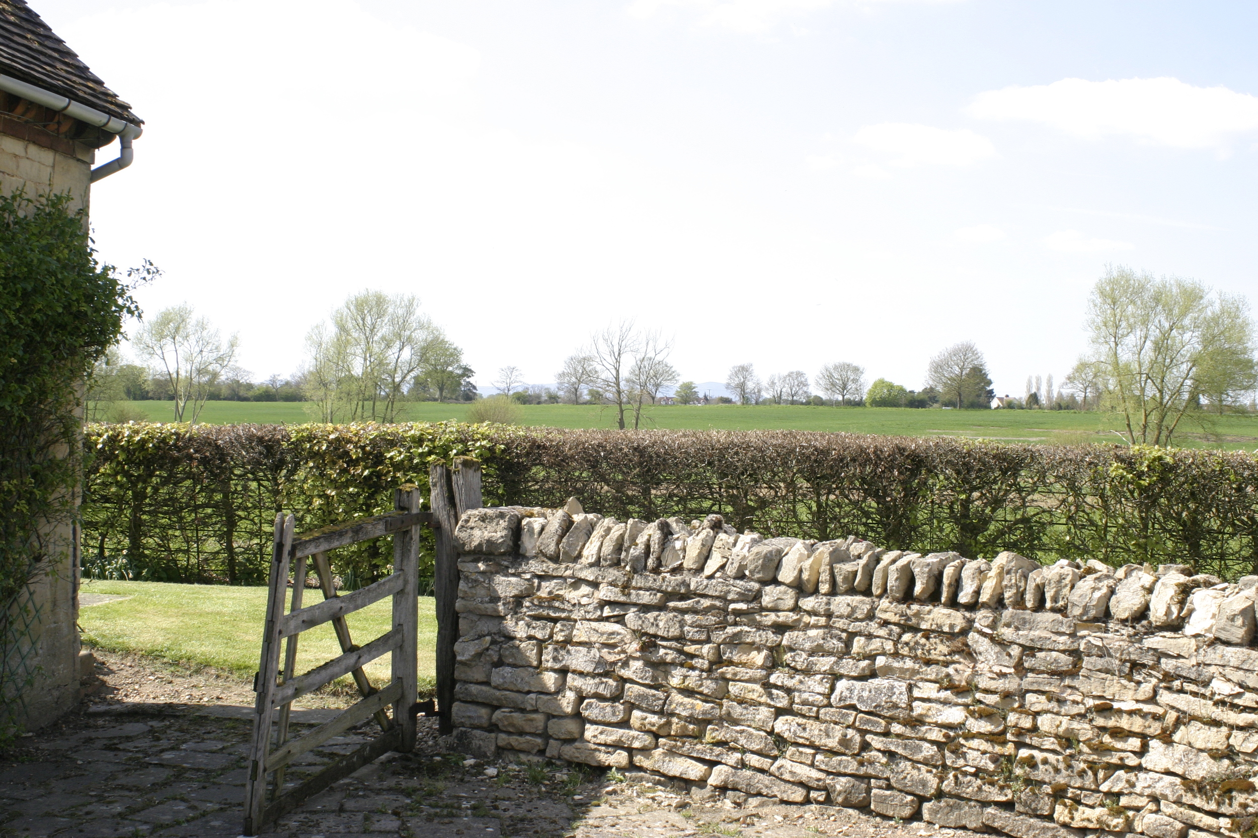 View from the walled patio