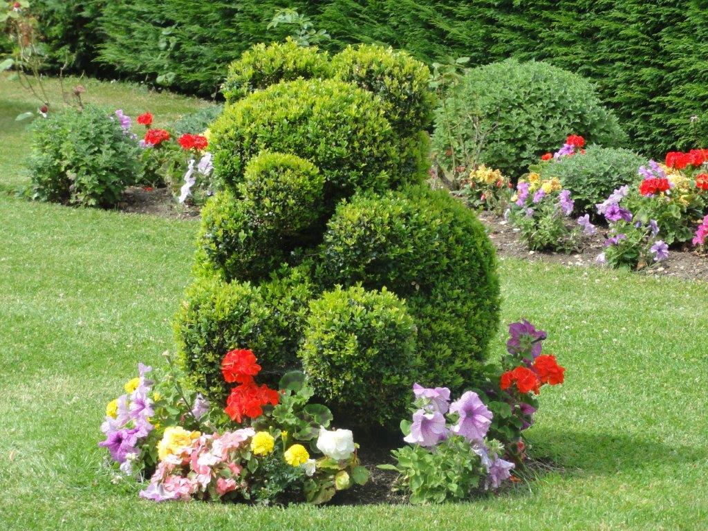 Teddy topiary