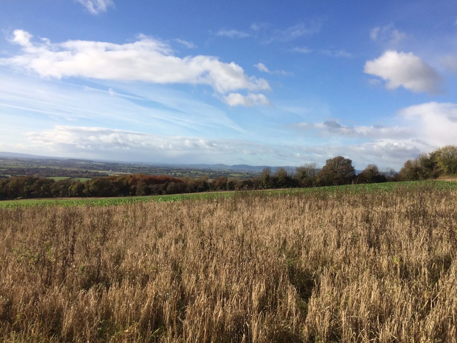 Bredon Hill view in late Autumn