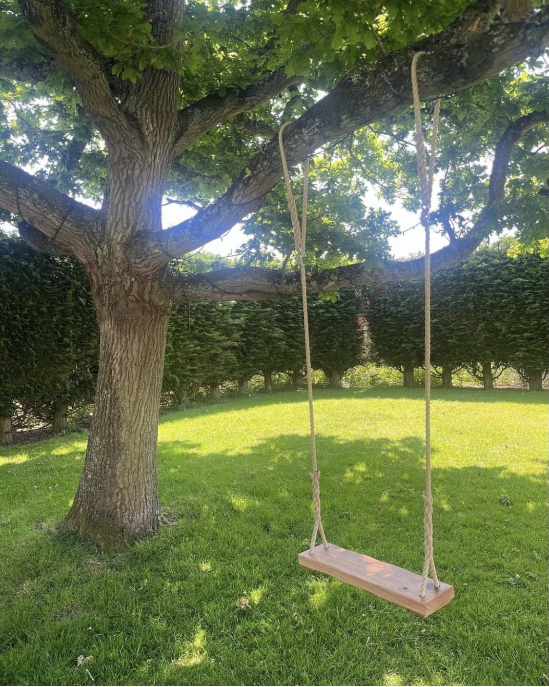 Tree swing in the garden