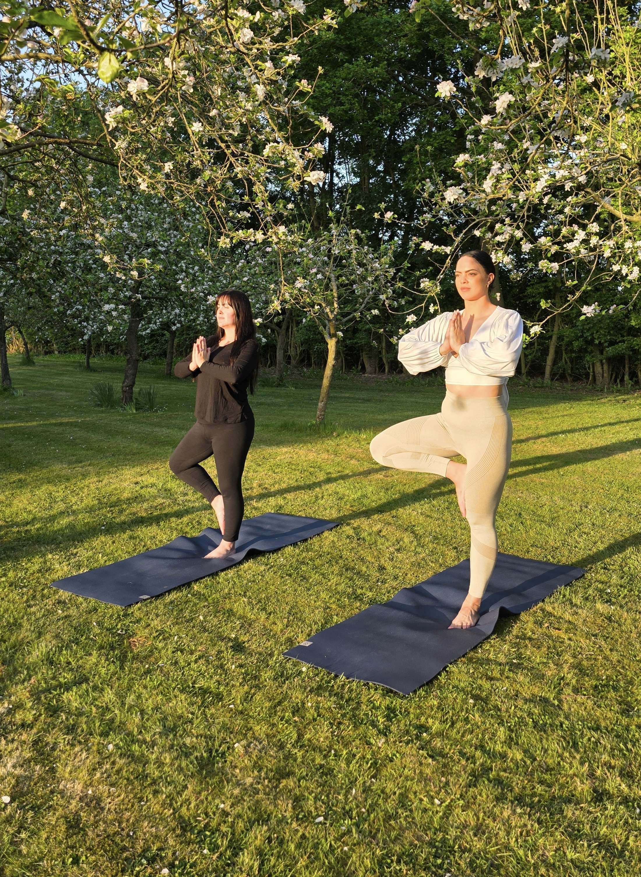 Sunset yoga in the orchard