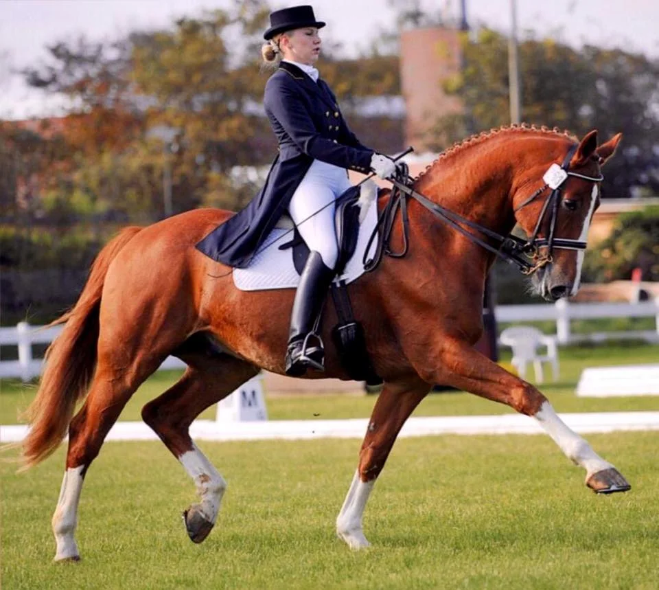 My time at Outfoxed Farm was one of my greatest in my life. I got my master certification as riding instructor in Germany. I have my own professional riding business and I´m riding successfully till Int. 1 in Germany. I went to the USA to get new impressions and new friends. It was my big luck that I met Carol. We got a really special and wonderful relationship. Carol and I can work together in a team. We have the same thoughts about education of horses and riders and it is important to bring both together in harmony. Only with a very good basic education in riding you can be coached to get better and better. Carol and I had many fruitful conversations in which we talked about problems always aiming to find ways to get better. It was great to work with her. It is an amazing feeling to know that we have this common mind and friendship over the 'Big Ocean'. I can trust her and Carol knows that she can trust me. I was really sad, when I left Outfoxed Farm. But it makes me happy and proud to say ' This is the beginning of a wonderful, productive, trusting relationship and we have the chance to share thoughts, experiences and certain aspects in business." Carol has the ability to get a nice and cheerful atmosphere in her barn between her boarders and staff every time. I've felt really well and I'm missing everybody a lot. I've met so many wonderful people. Carol, thank you for everything! Anna Mueller-Wieland