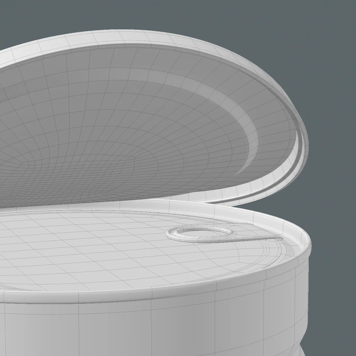 SKU-111001 Full Cream Tin Detail 2 Wireframe.jpg