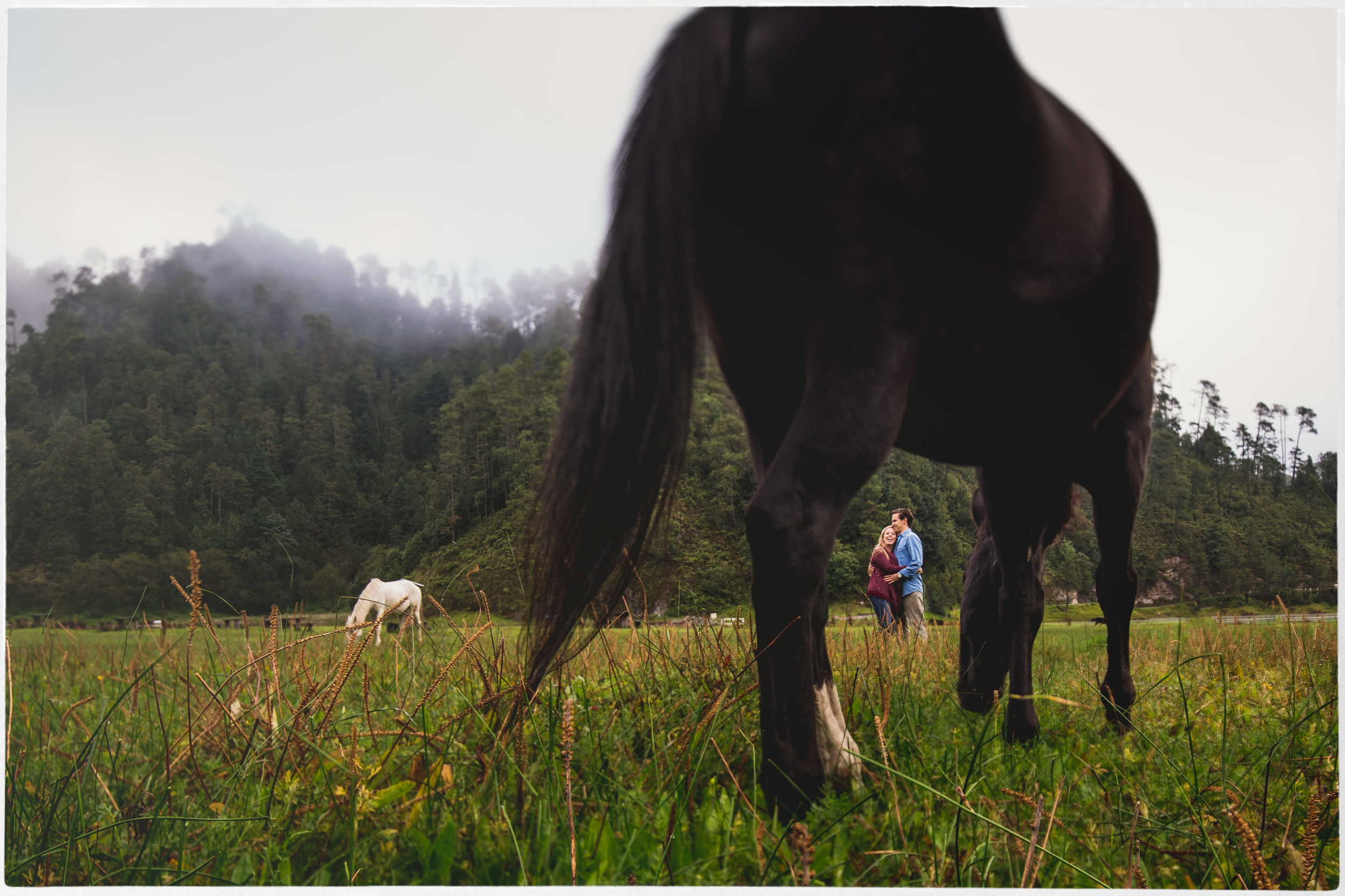 MaurizioSolisBroca.Photography20150920DSC08952-Edit-Edit.jpg