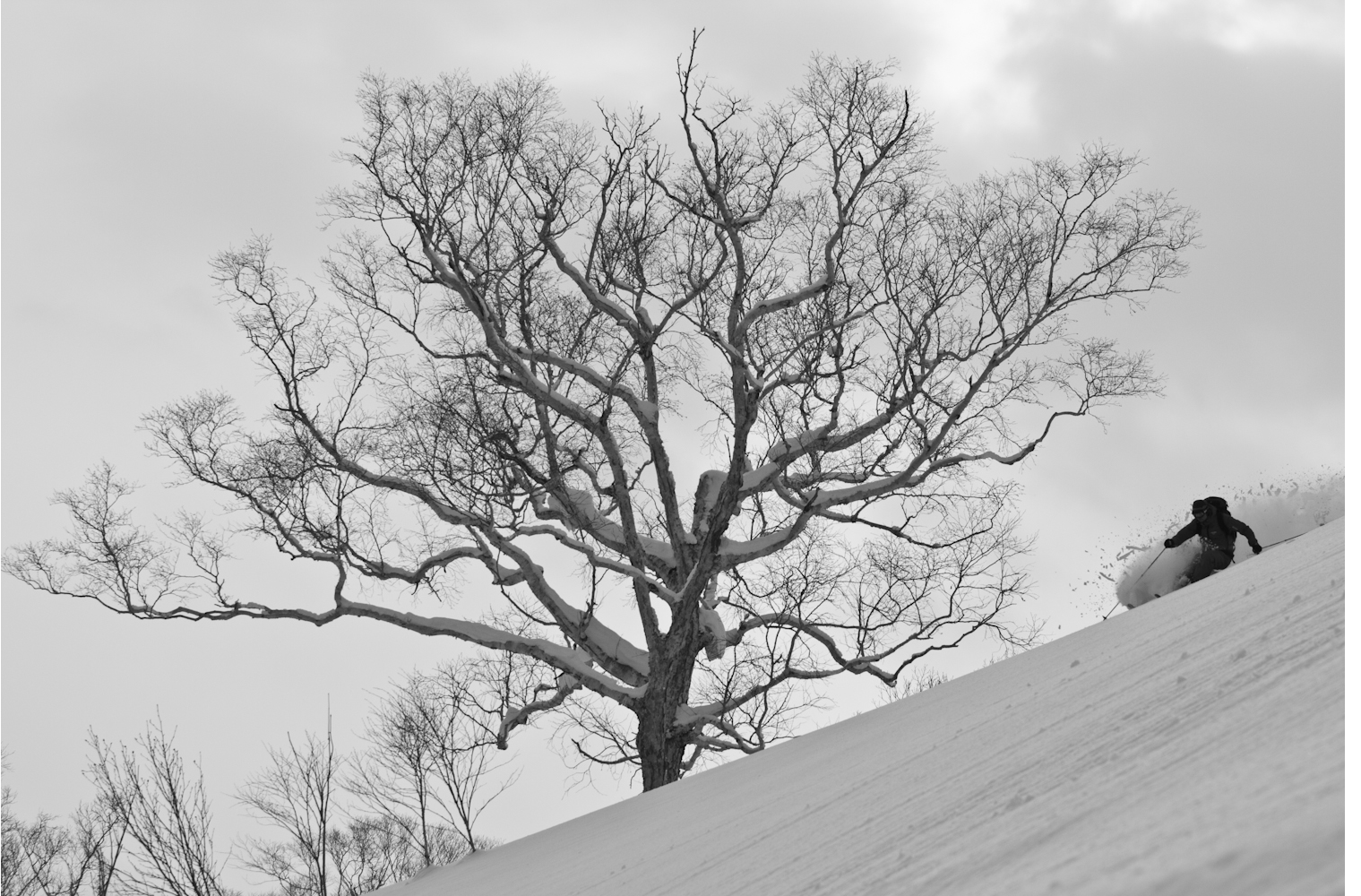Stevie Brawwn, Hokkaido, Japan
