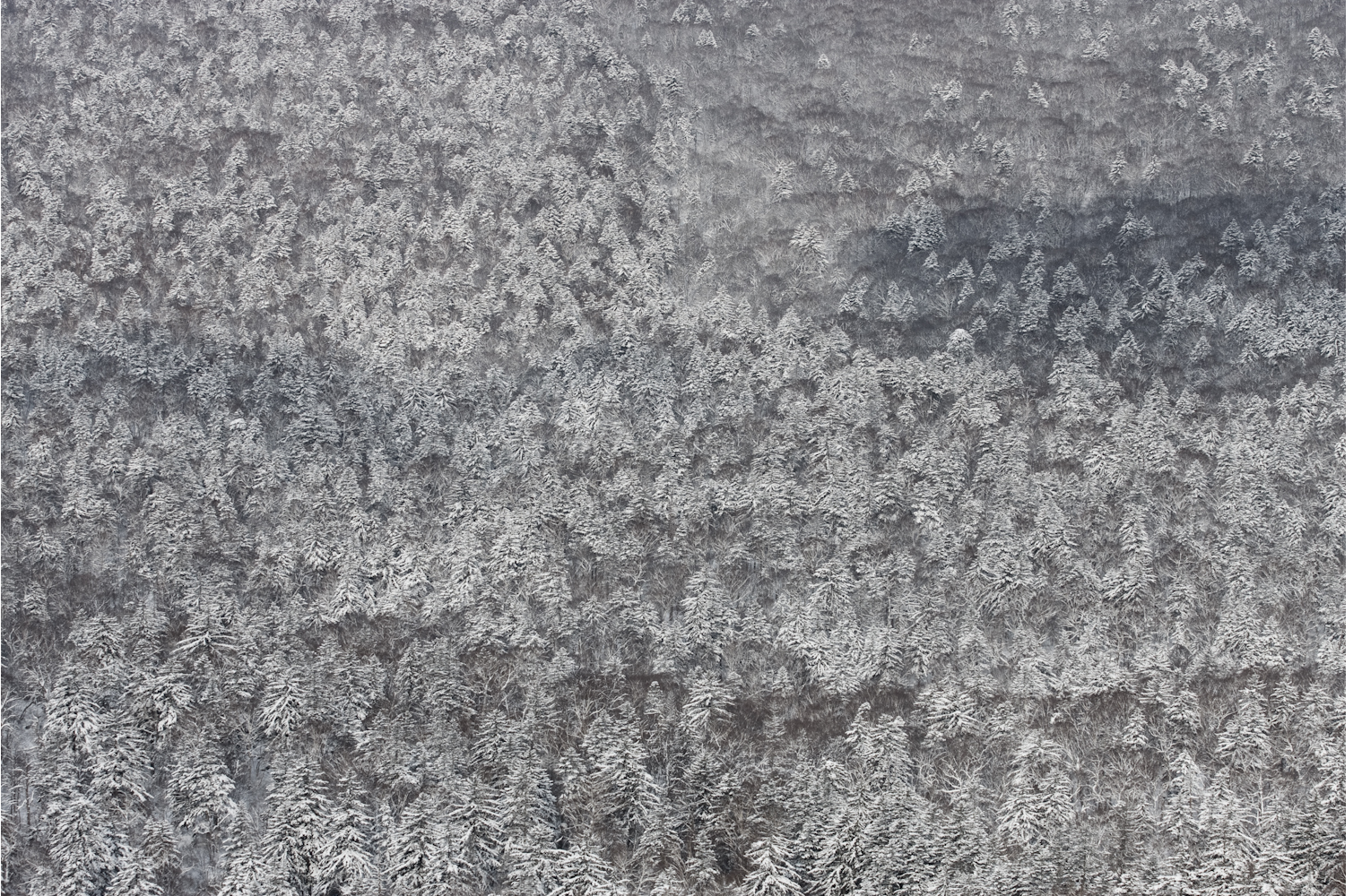 Hokkaido, Japan