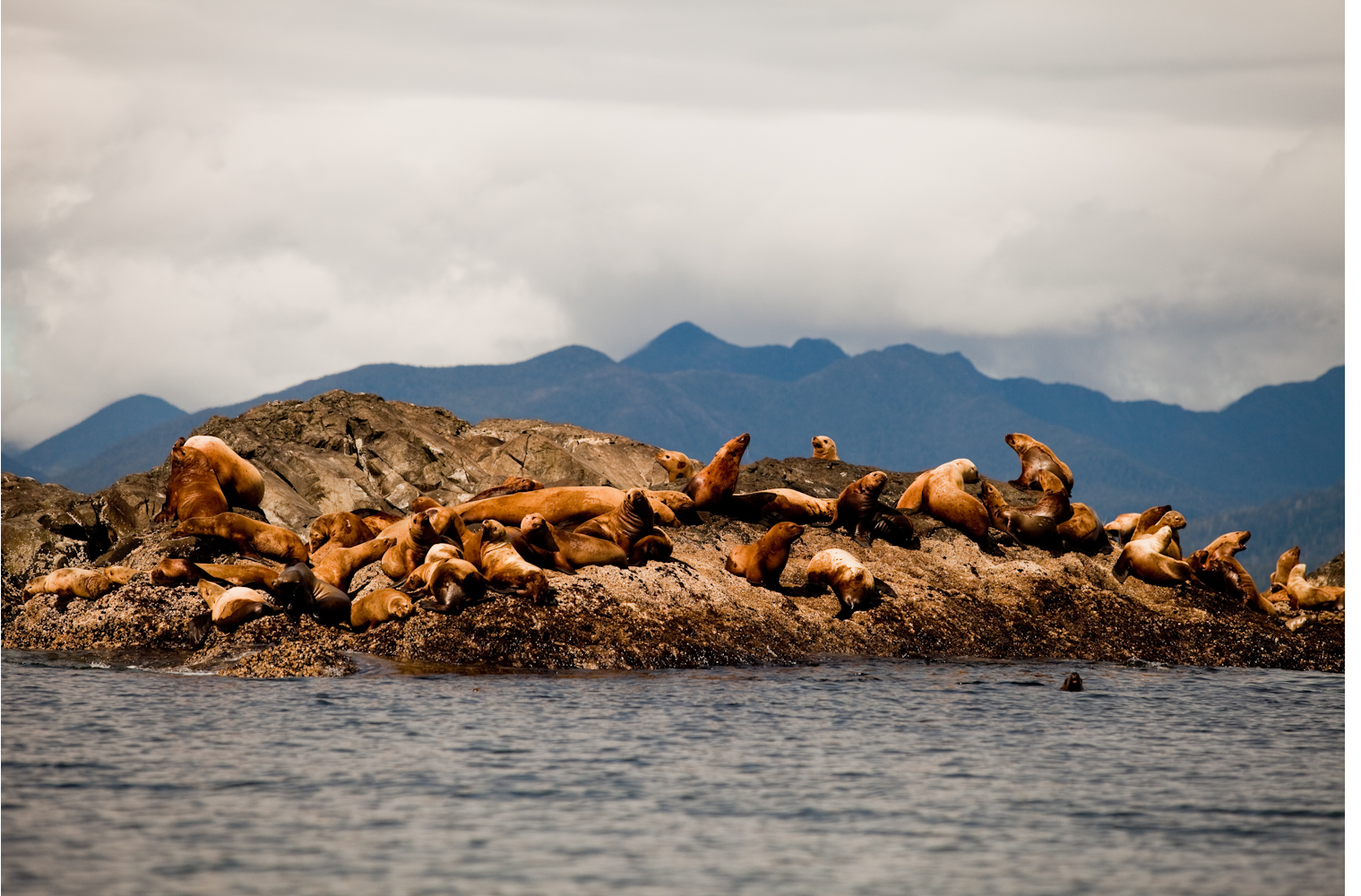 Haida Gwaii, Canada