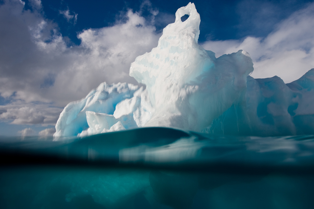 Iceberg at Danco Point.