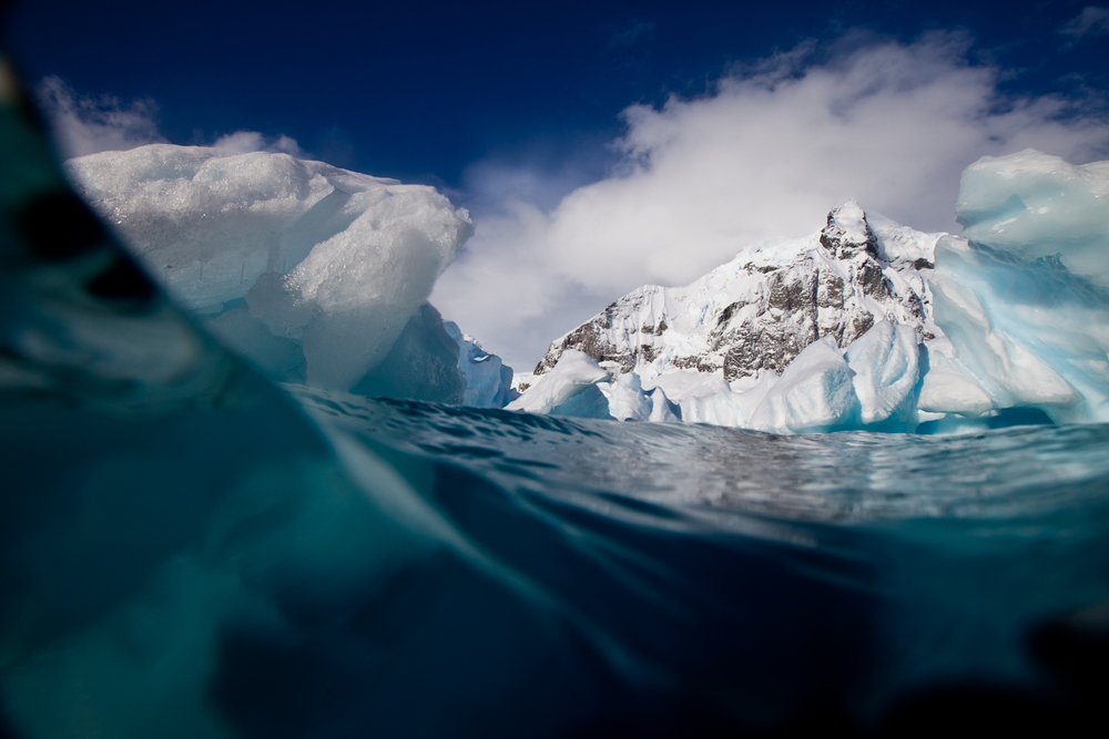 Icebergs at Danco Point.