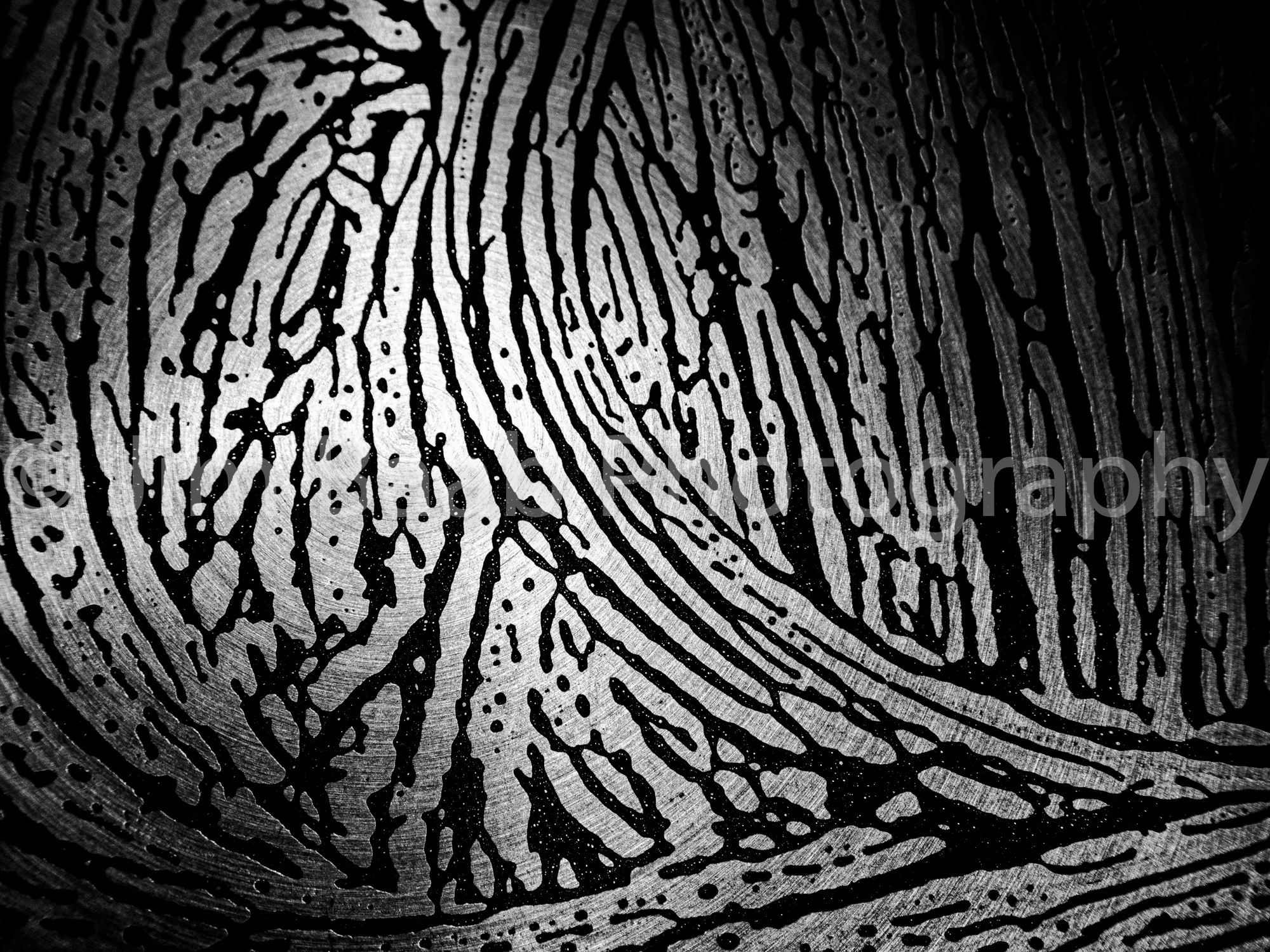 P3201895-Edit-4.jpg