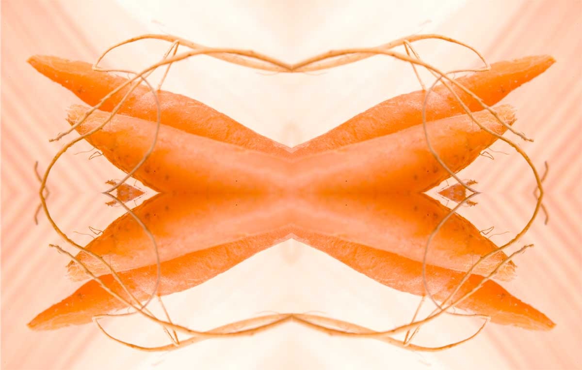 carrots.jpg