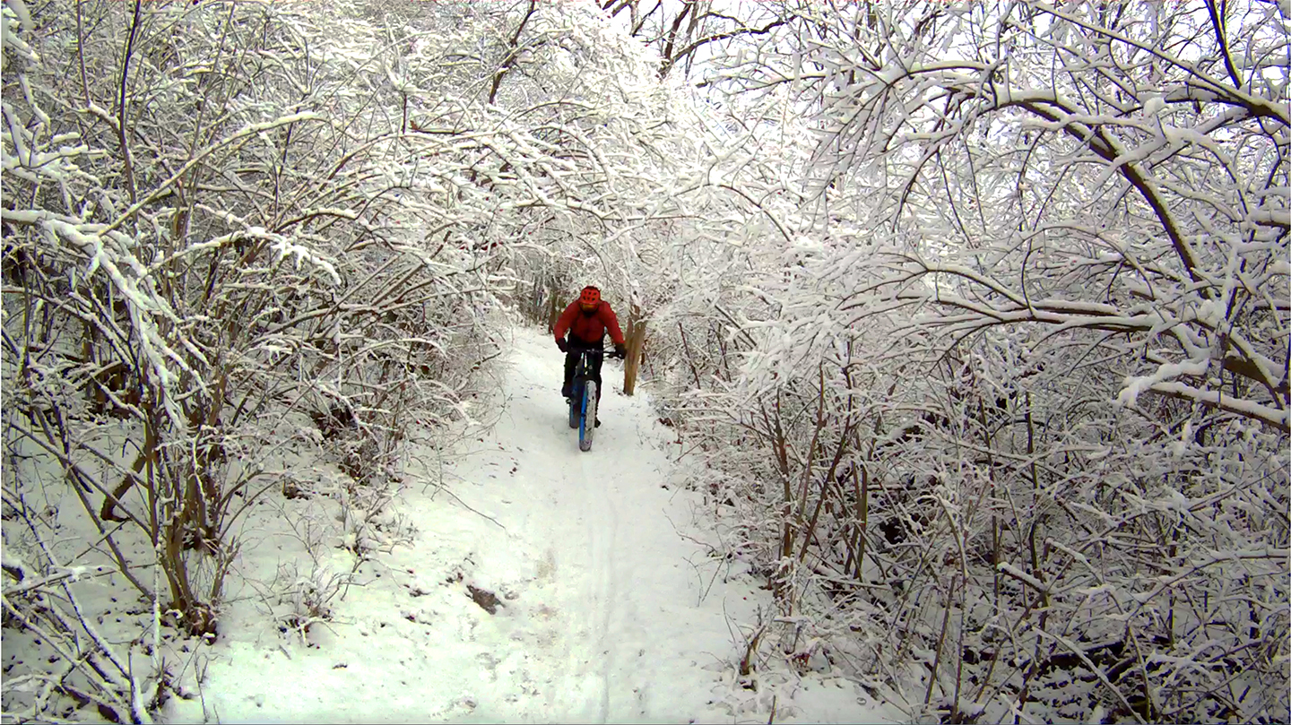 Snow2016.jpg
