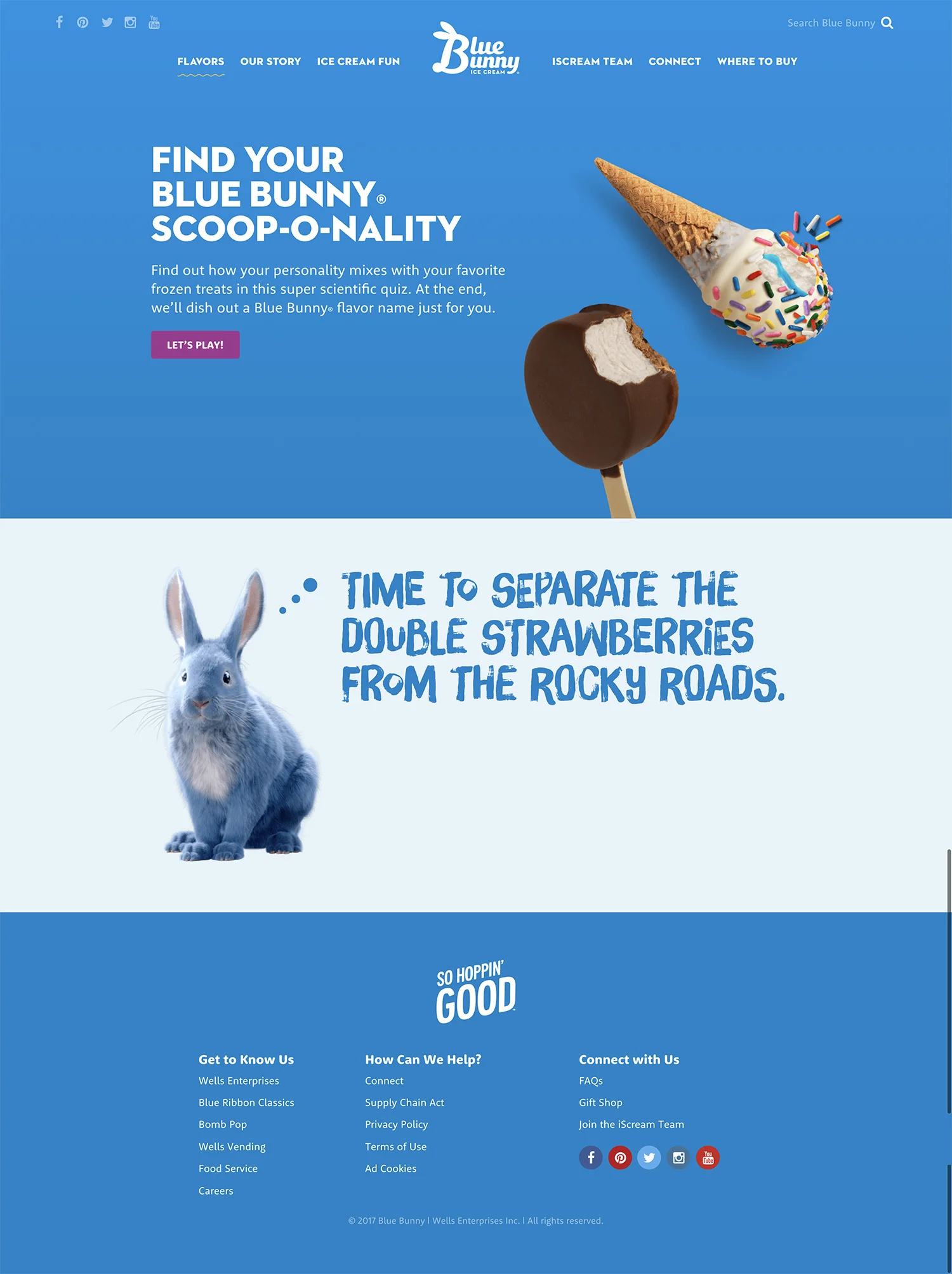 Wells Blue Bunny