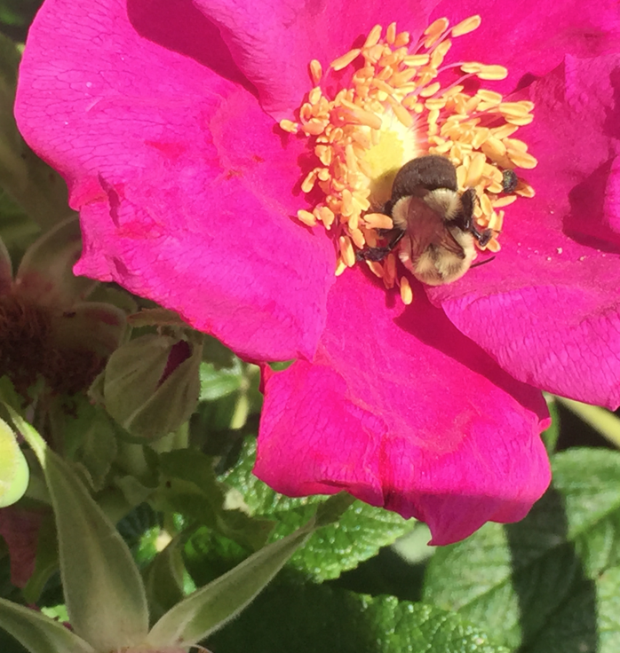 Screen Shot 2016-02-05 at 10.57.07 AM.png