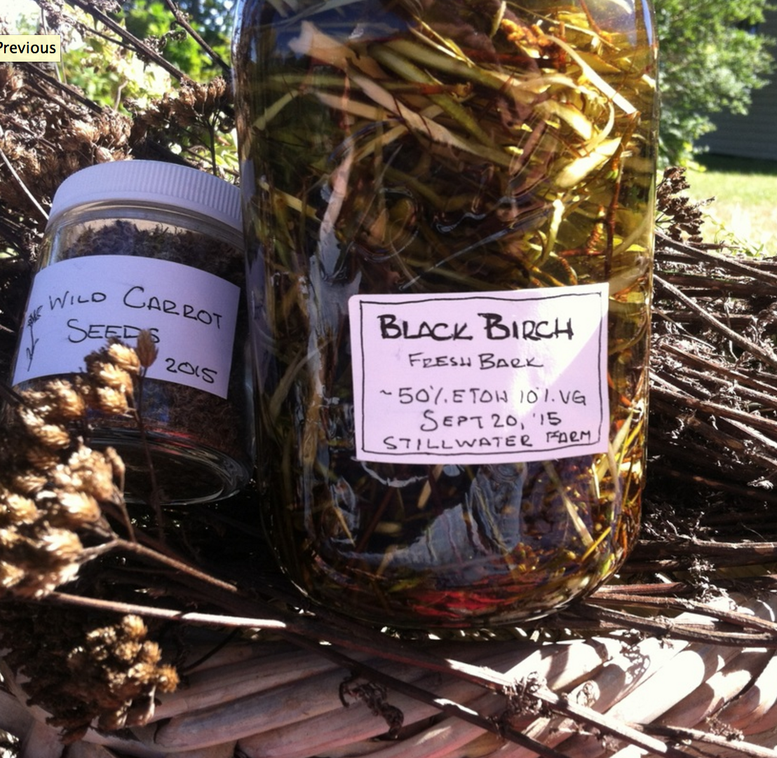 WILDCRAFTING WITH THE SEASONS