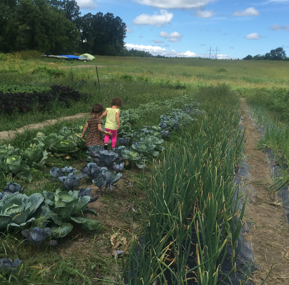 Kids' Farm Camp: July 25th-29th