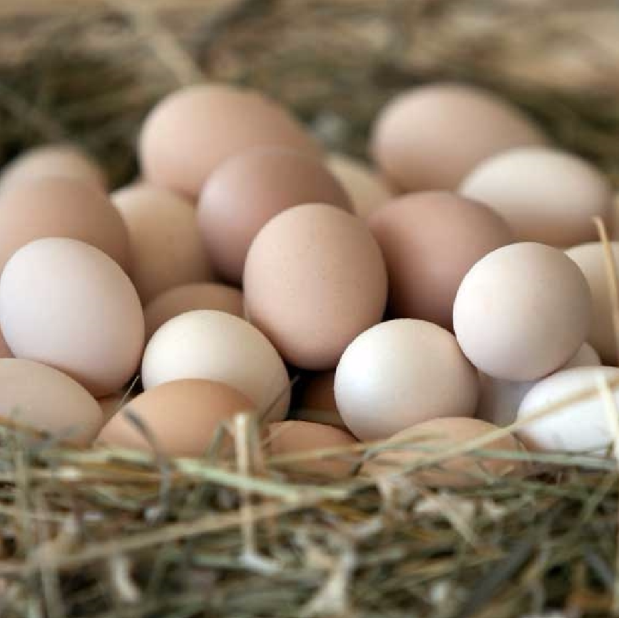 Screen Shot 2016-03-30 at 10.45.49 AM.png