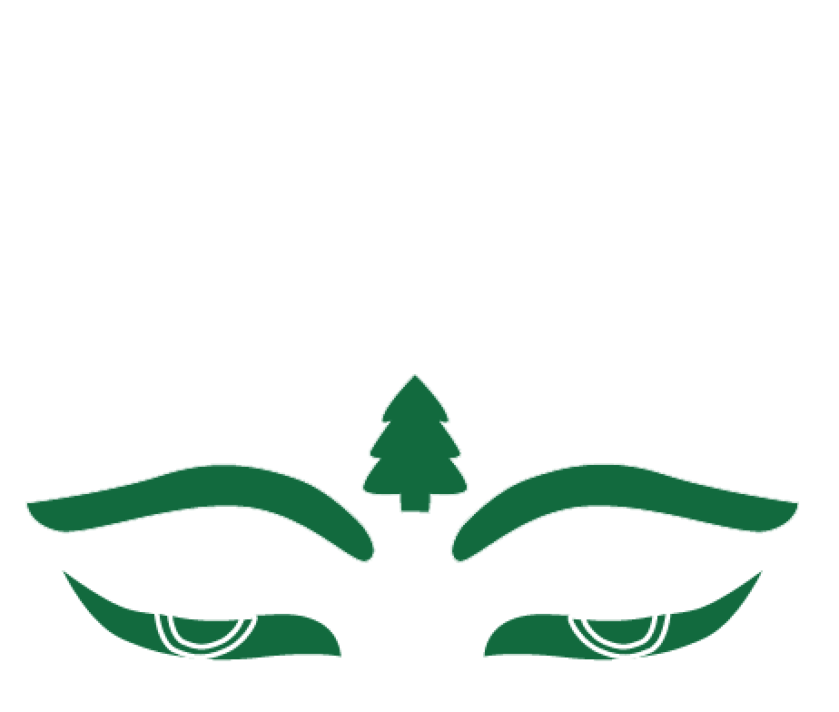 Screen Shot 2016-11-22 at 11.22.25 AM.png