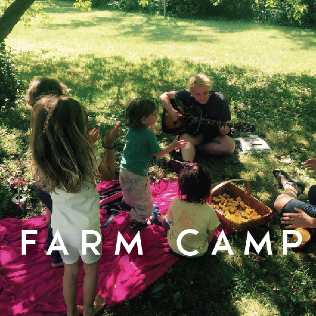 Screen Shot 2017-01-13 at 6.25.17 PM.png