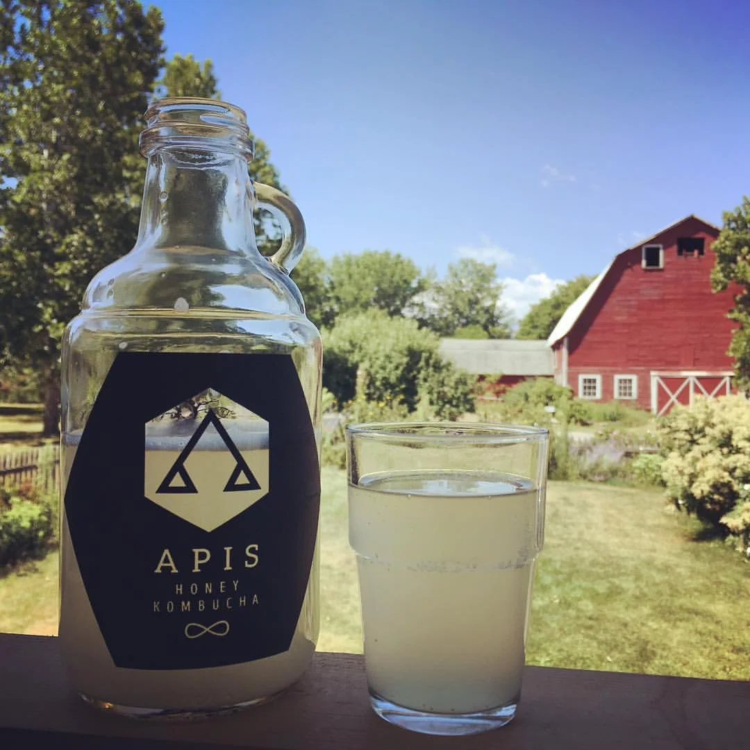 APIS Honey Kombucha Share