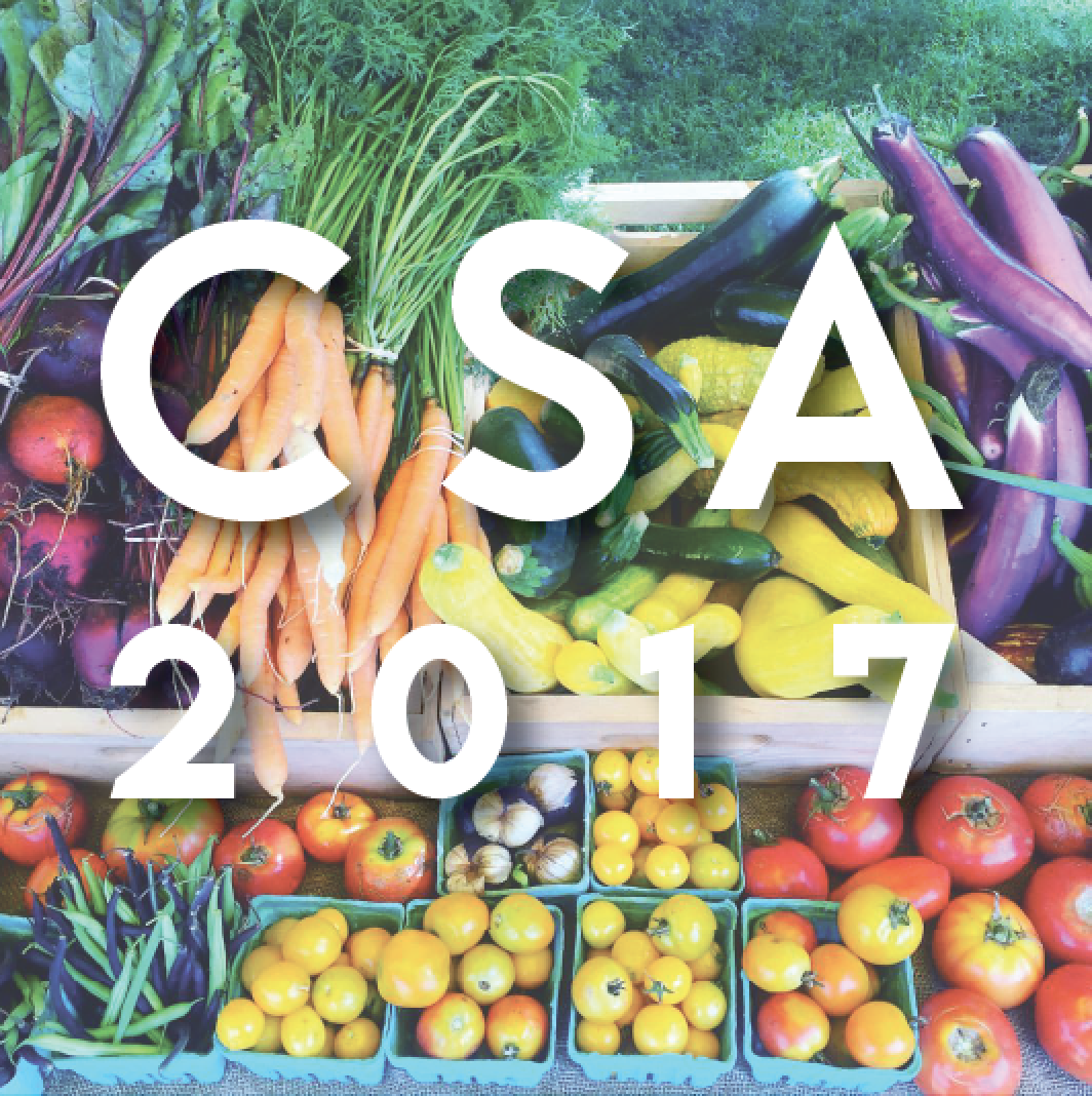 Screen Shot 2017-01-14 at 11.32.11 AM.png