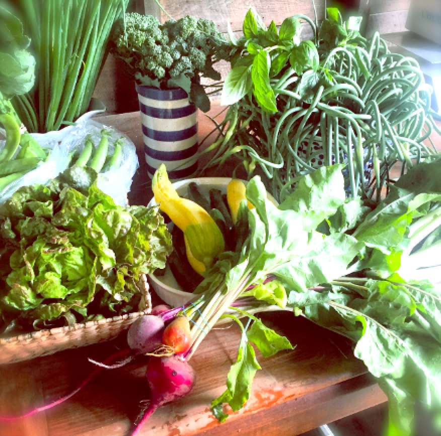 Screen Shot 2017-01-18 at 11.34.14 AM.png