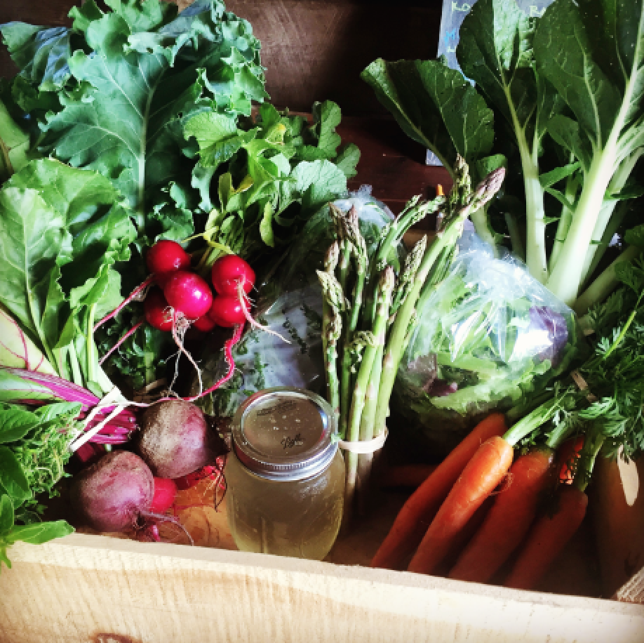 Screen Shot 2017-01-18 at 11.34.20 AM.png