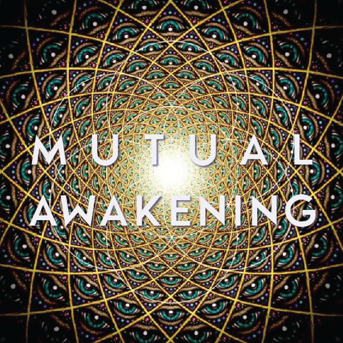 Screen Shot 2017-01-22 at 9.01.34 PM.png