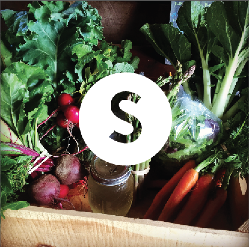 Screen Shot 2017-02-13 at 1.36.08 PM.png