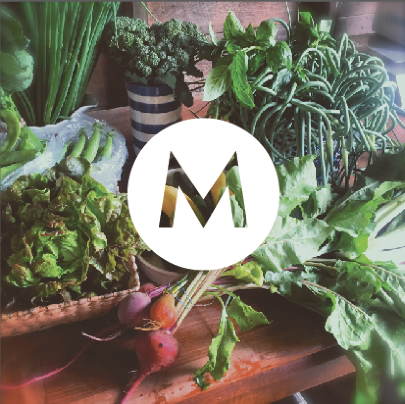 Screen Shot 2017-02-13 at 1.36.15 PM.png