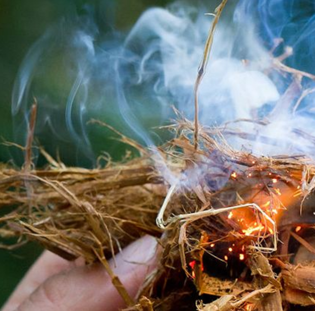 Screen Shot 2017-06-01 at 8.11.01 AM.png