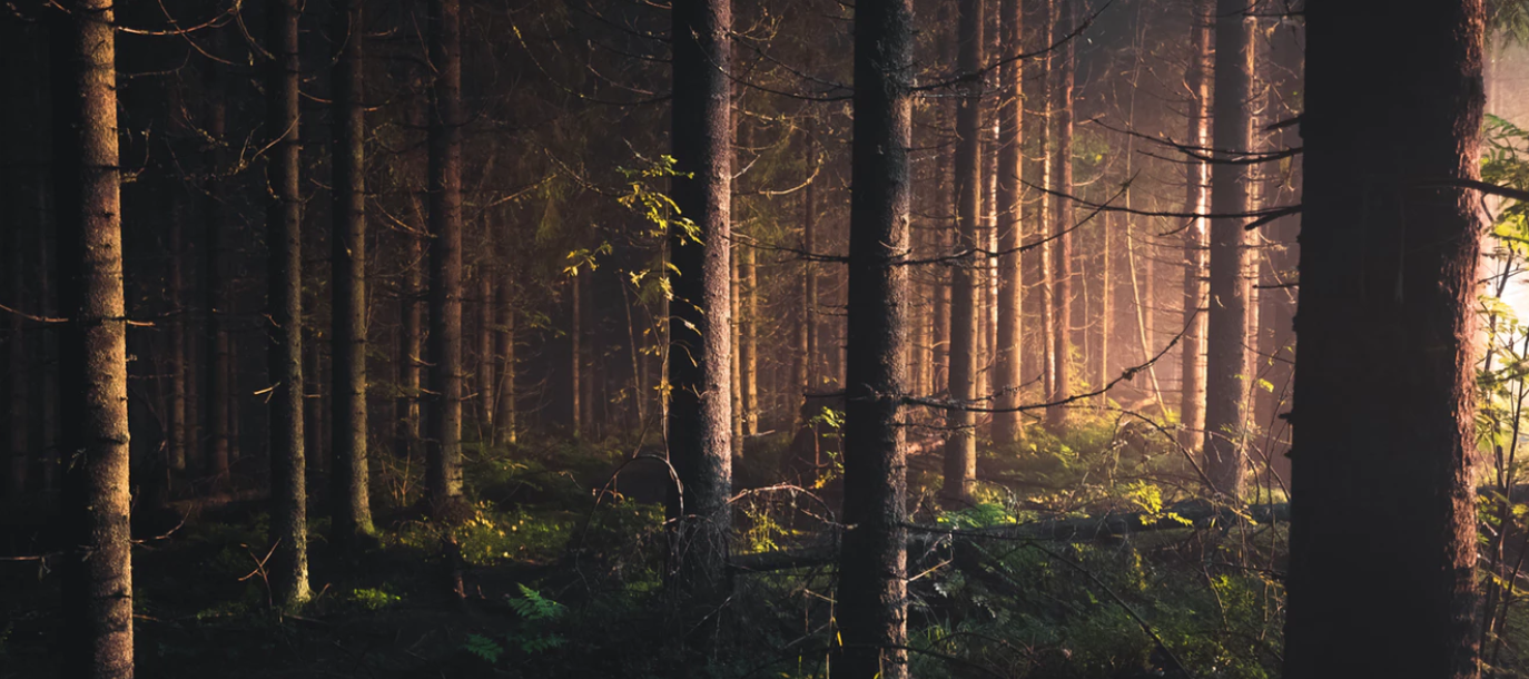 Screen Shot 2018-01-17 at 3.59.36 PM.png