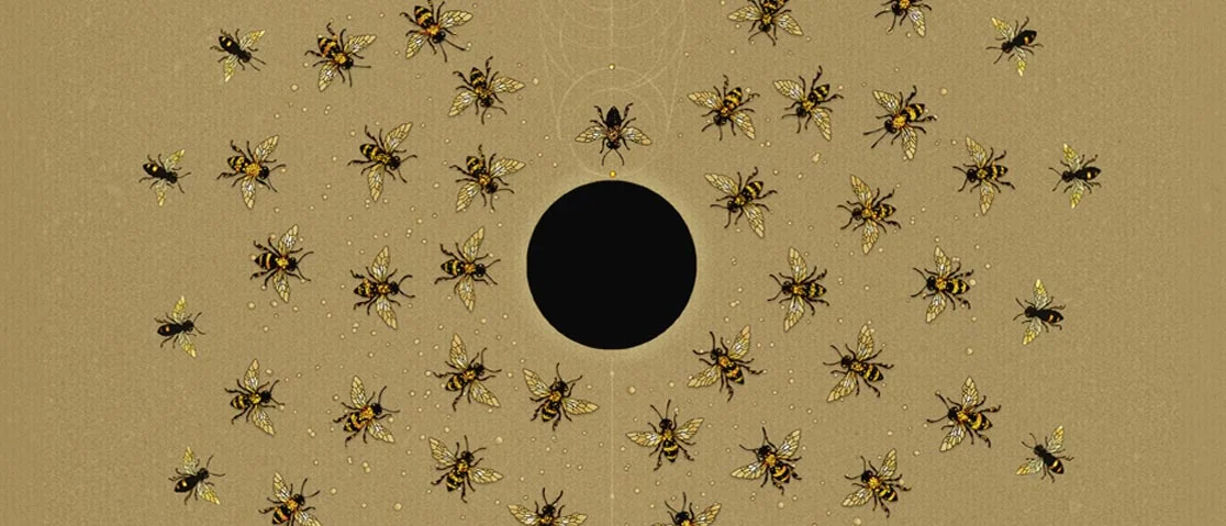 image from Sacred Trust's website