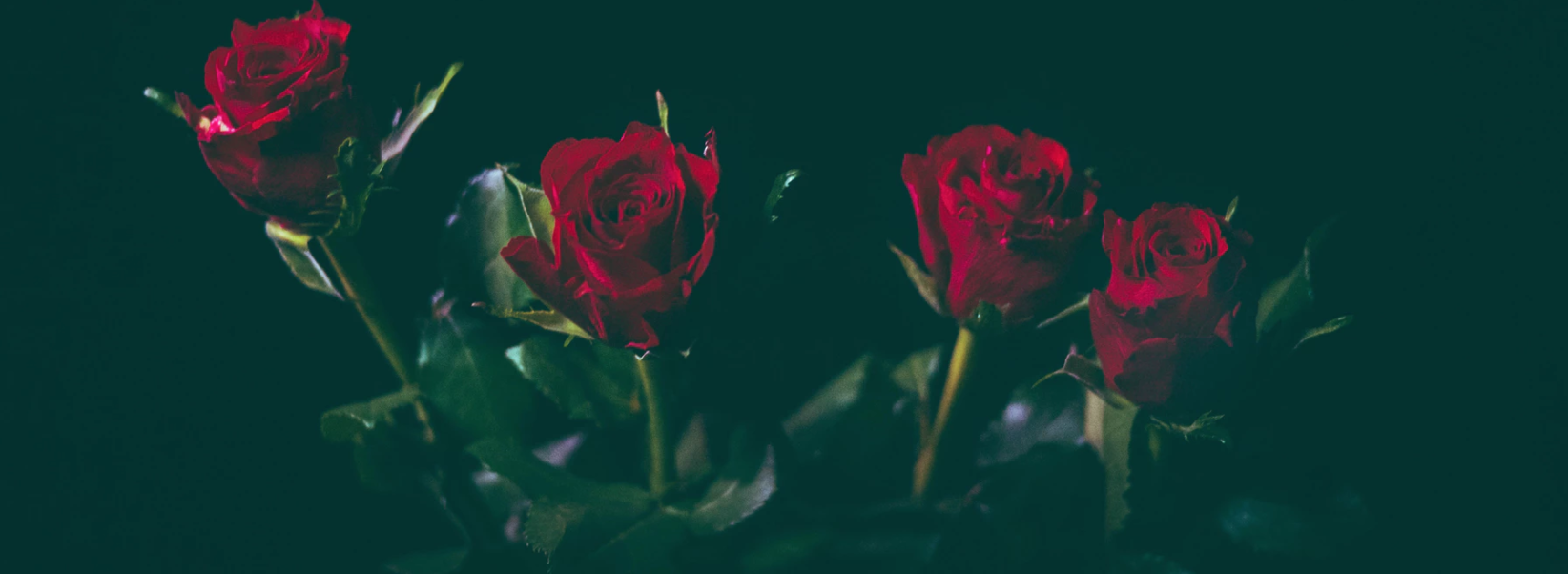 Screen Shot 2018-01-20 at 7.53.55 PM.png