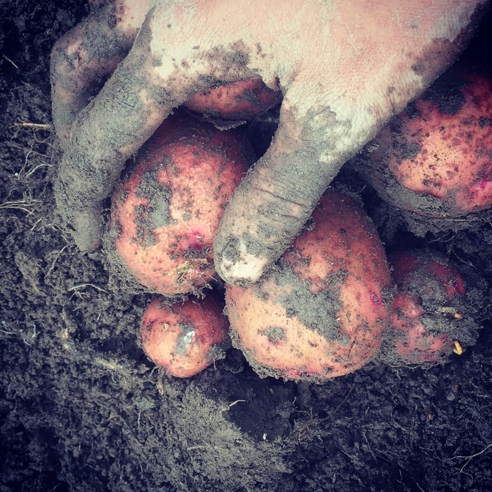 Screen Shot 2018-01-22 at 12.05.37 PM.png