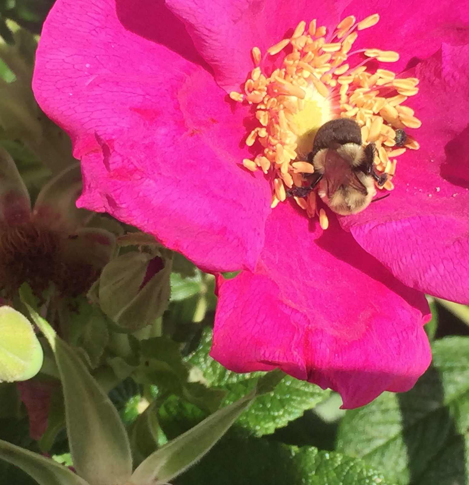 Screen Shot 2018-01-22 at 11.55.02 AM.png