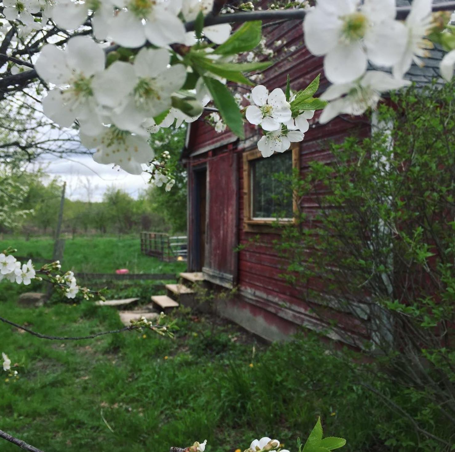 Screen Shot 2018-01-22 at 12.57.04 PM.png