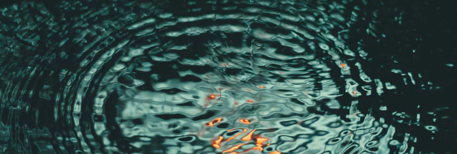 Screen Shot 2018-01-30 at 1.01.31 PM.png