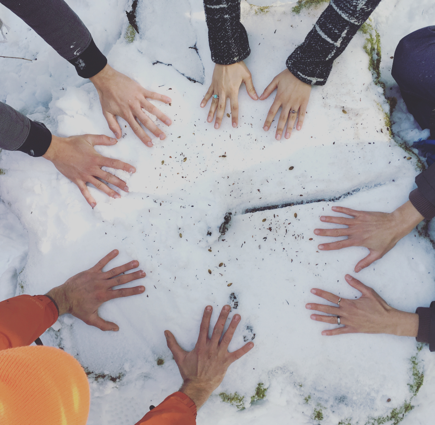 Screen Shot 2018-02-12 at 1.15.18 PM.png