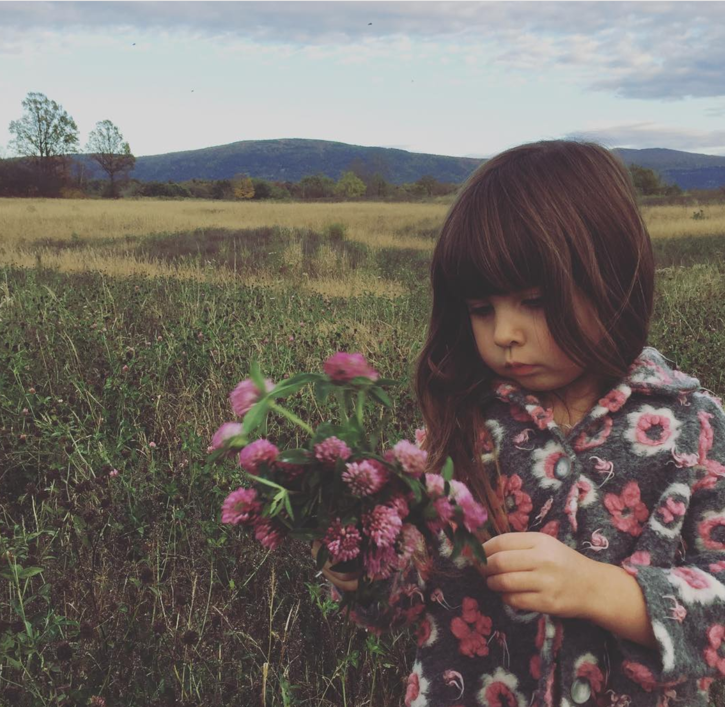 Screen Shot 2018-02-12 at 1.14.52 PM.png