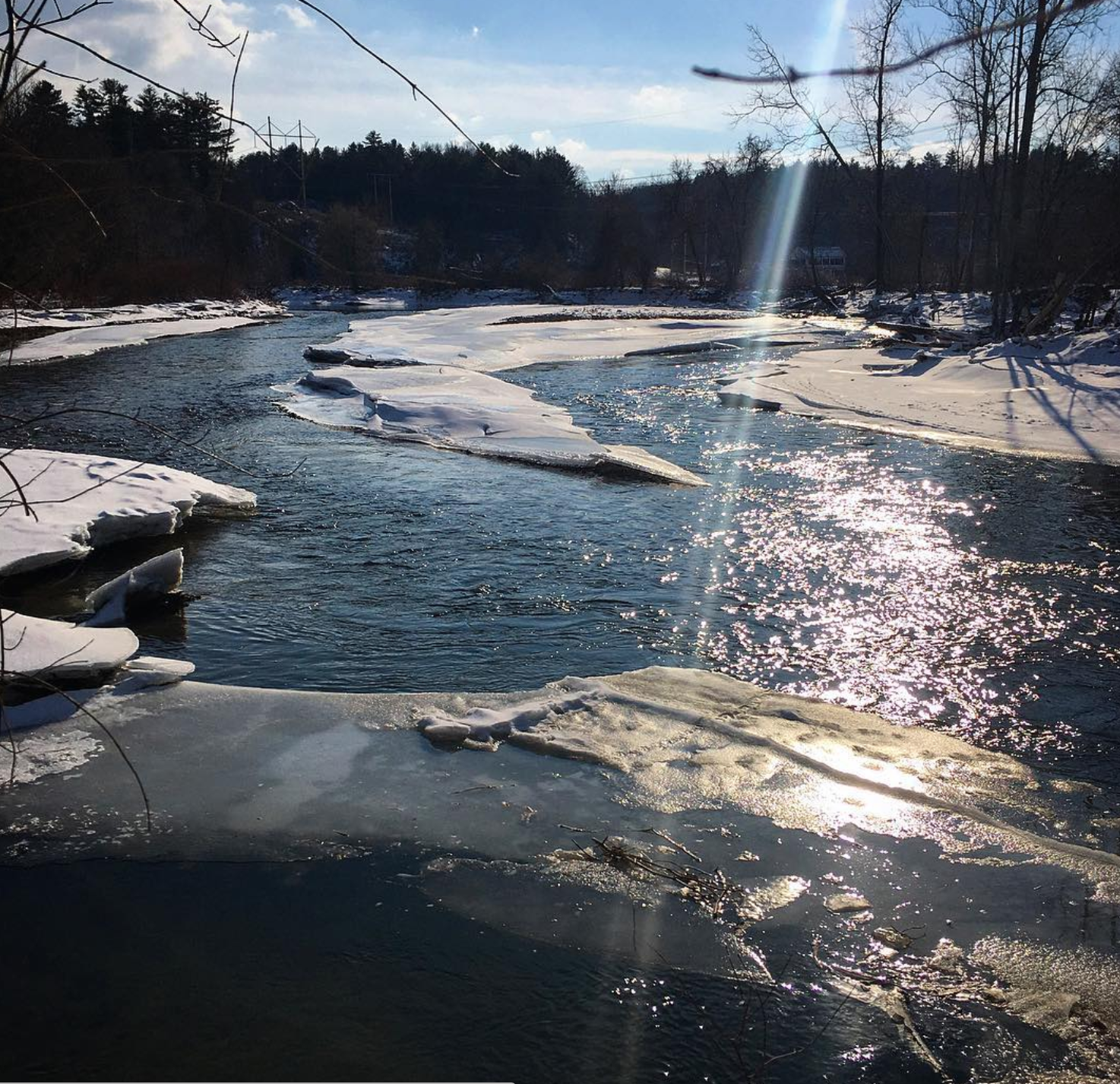 Screen Shot 2018-02-12 at 1.15.52 PM.png